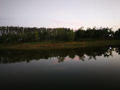 -东郊湿地公园
