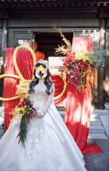 -蘭club婚礼策划