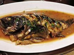 家常烧石斑鱼-87号烧烤海鲜·大排档(金沙滩店)