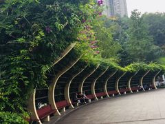 -龙头寺公园