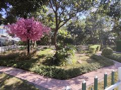 -晓港公园