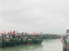 -硇洲岛旅游区