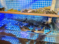 -鲁商铂尔曼大酒店·铂丽自助餐厅