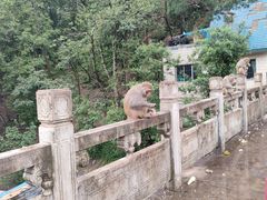-黔灵山公园