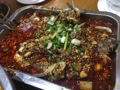 -风鑫铃罗非鱼(道沟店)