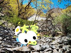 -北京鹫峰国家森林公园