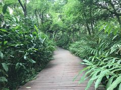 -广西壮族自治区药用植物园