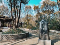 -上海佘山国家森林公园天马山园