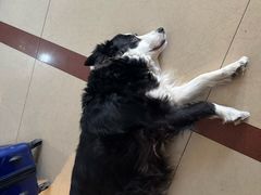 -哈尔滨北方国际青年旅舍(中央大街店)