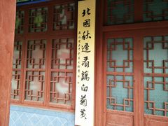 -雁滩公园
