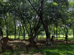 -盘龙城国家考古遗址公园