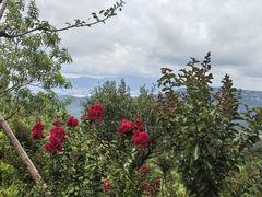 -大伊山景区
