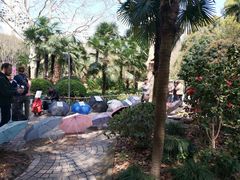 -人民公园-相亲角