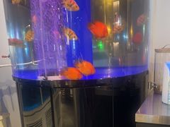 -金汤宴餐厅·粤菜(德云社店)