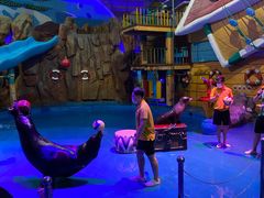 -烟台海昌鲸鲨海洋公园