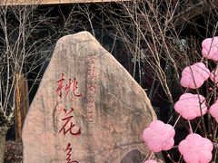 -金鸡湖游船(月光码头)