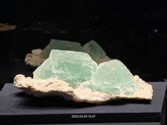 -山东博物馆