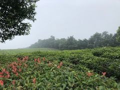 -南京市江宁方山
