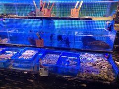 水产区-好媳妇(太湖路店)