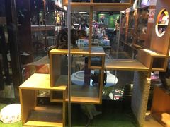 -Goku PET SHOP宠物视觉生活馆(双井店)