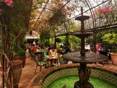 -The Grounds of Alexandria