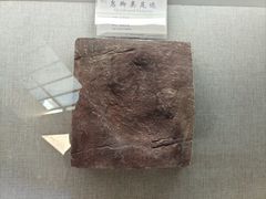 -延庆地质公园博物馆