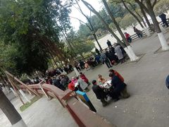 -北湖公园