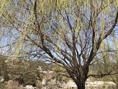 -北京西山国家森林公园