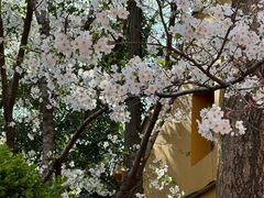 -龙华寺