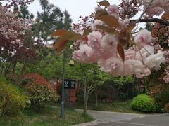 -芭东小镇温泉