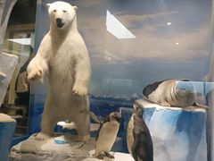 -国家自然博物馆