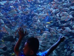 -成都浩海立方海洋公园