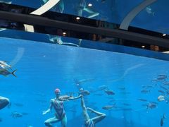 -瑞德姆美人鱼海底演艺主题餐厅(亚龙湾店)