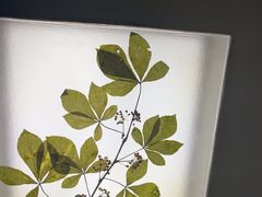 -予厘·推拿按摩·精油SPA(憩舍长安店)