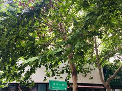 -AFS|青岛传统包子铺