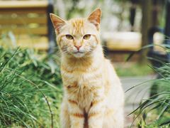 -苏州河梦清园环保主题公园