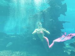 -海棠湾洲际-涛·海底餐厅·美人鱼·自助餐·海底隧道