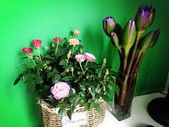 -双季花艺园艺市场(浦东店)