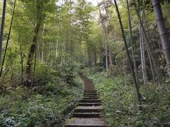 -缙云山景区
