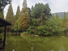 -宝岩生态观光园