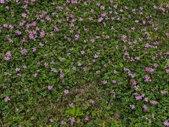 -福建鲤鱼洲酒店