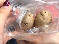 -金盆阿嬷香菇茶叶蛋(玄光店)