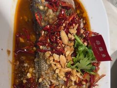 -杨氏青龙虾·羊蝎子(金盛路总店)