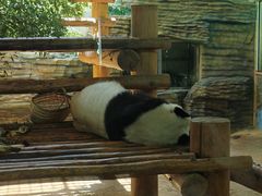 -西霞口神雕山野生动物世界