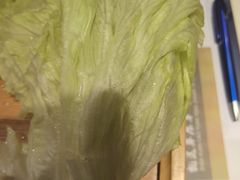 -蝎王府羊蝎子(西直门店)