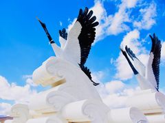 -郭莽湿地