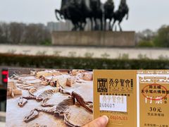 -洛阳周王城天子驾六博物馆