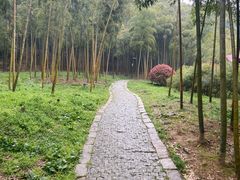 -苏州上方山国家森林公园
