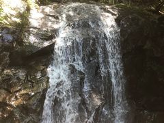 -藏龙百瀑风景区