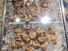 -铭聚章鱼土笋冻(松柏店)